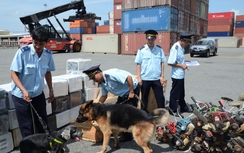 Vũng Tàu thành lập nhóm kiểm soát container chống ma túy