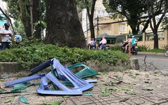 Ngồi vỉa hè trông xe, bị cành cây rơi trúng đầu bất tỉnh