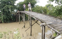 Khởi công cầu Dr Thanh-Vàm Cái Ngãi tại Cần Thơ