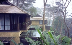 Niêm phong resort "xây chui" tại VQG Ba Vì