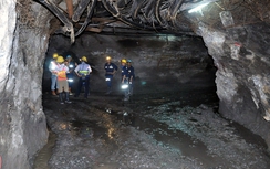 Quảng Nam "quyết" thu 350 tỷ đồng thuế từ 2 công ty vàng