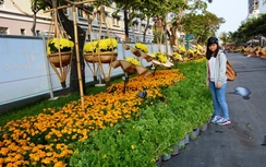 TP HCM tổ chức 128 điểm Chợ hoa Tết 2016