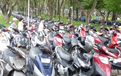 TP HCM: Công an không phạt người chưa đóng phí bảo trì đường bộ