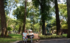 Sở GTVT TP.HCM sẽ không quản lý mảng cây xanh, chiếu sáng, thoát nước