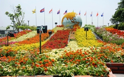 Tối mùng 5 Tết, kết thúc Đường hoa Nguyễn Huệ 2016