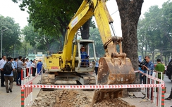 TP.HCM: Di dời 125 cây xanh để xây cầu vượt nút giao Trường Sơn