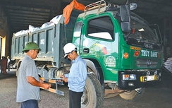 Đình chỉ công tác Tổng giám đốc cảng để xe quá tải hoạt động