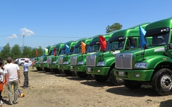 Cấp chứng nhận đăng kiểm trực tuyến tăng mạnh