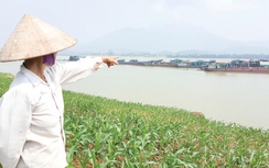 Điều tàu chốt tại mỏ, ngăn tàu lạ vơ vét cát sông Đà