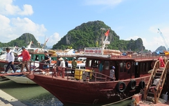 Tàu SB được hoạt động ra đảo Lý Sơn, Cồn Cỏ