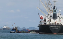 Tăng mạnh tàu SB tham gia tuyến vận tải ven biển