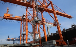 Cảng Tân Vũ đầu tư phần mềm tự động có định vị toàn cầu