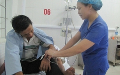 Ngộ độc cá nóc, 4 người thoát chết