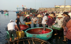 Cấp bảo hiểm y tế miễn phí cho ngư dân ảnh hưởng cá chết