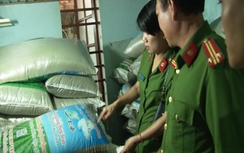 Phát hiện giá đỗ sản xuất theo công nghệ ngâm tẩm hóa chất lạ