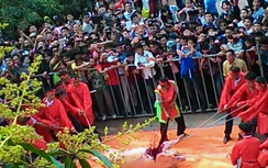 "Làng chém lợn" lại... chém lợn