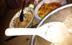 Mất Tết vì bị "côn trùng lạ" tấn công