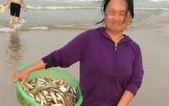 Kiếm tiền triệu nhờ vớt cá chết bán cho thương lái