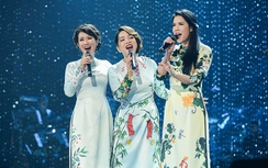 Năm 2015, có 295 lượt nghệ sĩ hải ngoại về Việt Nam biểu diễn