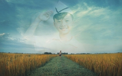 Bộ ảnh chú bé Lượm làm rung động cư dân mạng