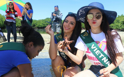 Nam Em giành danh hiệu Hoa hậu Ảnh tại Miss Earth 2016