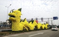 Rồng lạ ở Hải Phòng vô cùng xấu!