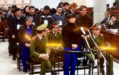 Đại án Agribank: Đề nghị mức án 30 năm tù với Phạm Bích Lương