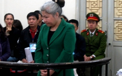 Nữ chủ tịch HĐQT lừa đảo 30 tỷ lãnh án chung thân