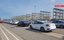 Hơn một nghìn ô tô Honda nhập khẩu miễn thuế chính thức thông quan