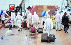 Vụ chìm tàu : 29 mẫu ADN đã được xét nghiệm trùng khớp