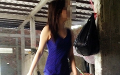 "Thiếu nữ" Cà Mau 15 tuổi khai thêm nhiều 'đại gia' mua dâm