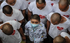 Cảm động 11 ông bố cạo đầu động viên con trị ung thư