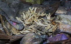 SỐC: Tân Hoa xã bị tố bịa chuyện "thịt thối 40 năm"