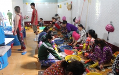 Bắt quả tang cơ sở tổ chức bơm tạp chất vào tôm sú