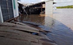 Sạt lở đất đe dọa hàng chục hộ dân ở Năm Căn