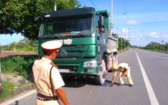Huy động tối đa lực lượng kiểm soát tải trọng phương tiện