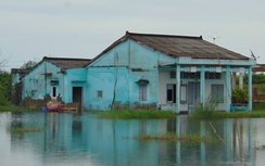 Hàng chục hộ dân khổ sở vì nước ngập không đường thoát