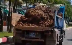 Xe biển xanh chở đất “tung hoành” ở Bạc Liêu bị phạt 14 triệu