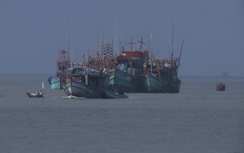 Cà Mau: Mất liên lạc với 28 tàu cá đang hoạt động trên biển