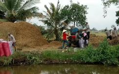 Bị đánh vì... từ chối gặt lúa mướn