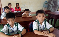 Học sinh lớp 3 trả lại hơn 40 triệu đồng cho người bị mất