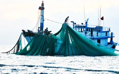 Tìm kiếm tàu cá cùng 7 thuyền viên mất liên lạc nhiều ngày