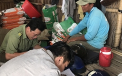 Đã xác định được chủ mưu vụ đầu độc 2 ao tôm tiền tỷ