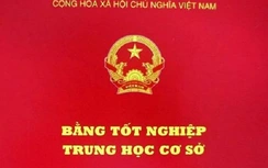 Bí thư xã bị cách chức... vì dùng bằng của người khác