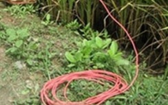 Một thiếu niên tử vong vì "dính" bẫy chuột