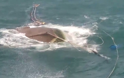 Cứu hộ kịp thời 9 ngư phủ bị chìm tàu trên biển Cà Mau