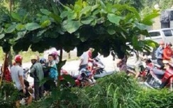 Phát hiện thi thể đang phân hủy, úp mặt vào thau nước