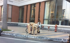 Dậy sóng CSGT lúi húi sửa xe đạp cho 2 em nhỏ