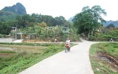 Con chém bố tử vong, mẹ và anh trai bị thương nặng