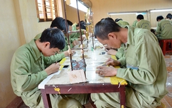 Bị bạn đâm bóng đèn compact vào cổ, học viên cai nghiện tử vong